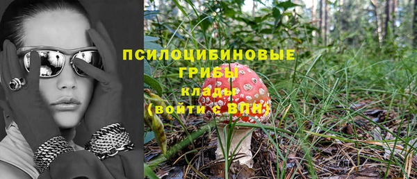 трава Балахна