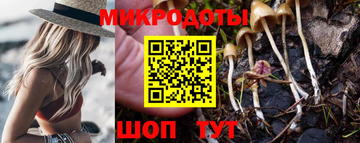 Галлюциногенные грибы прущие грибы  Вход с VPN  Нерюнгри 